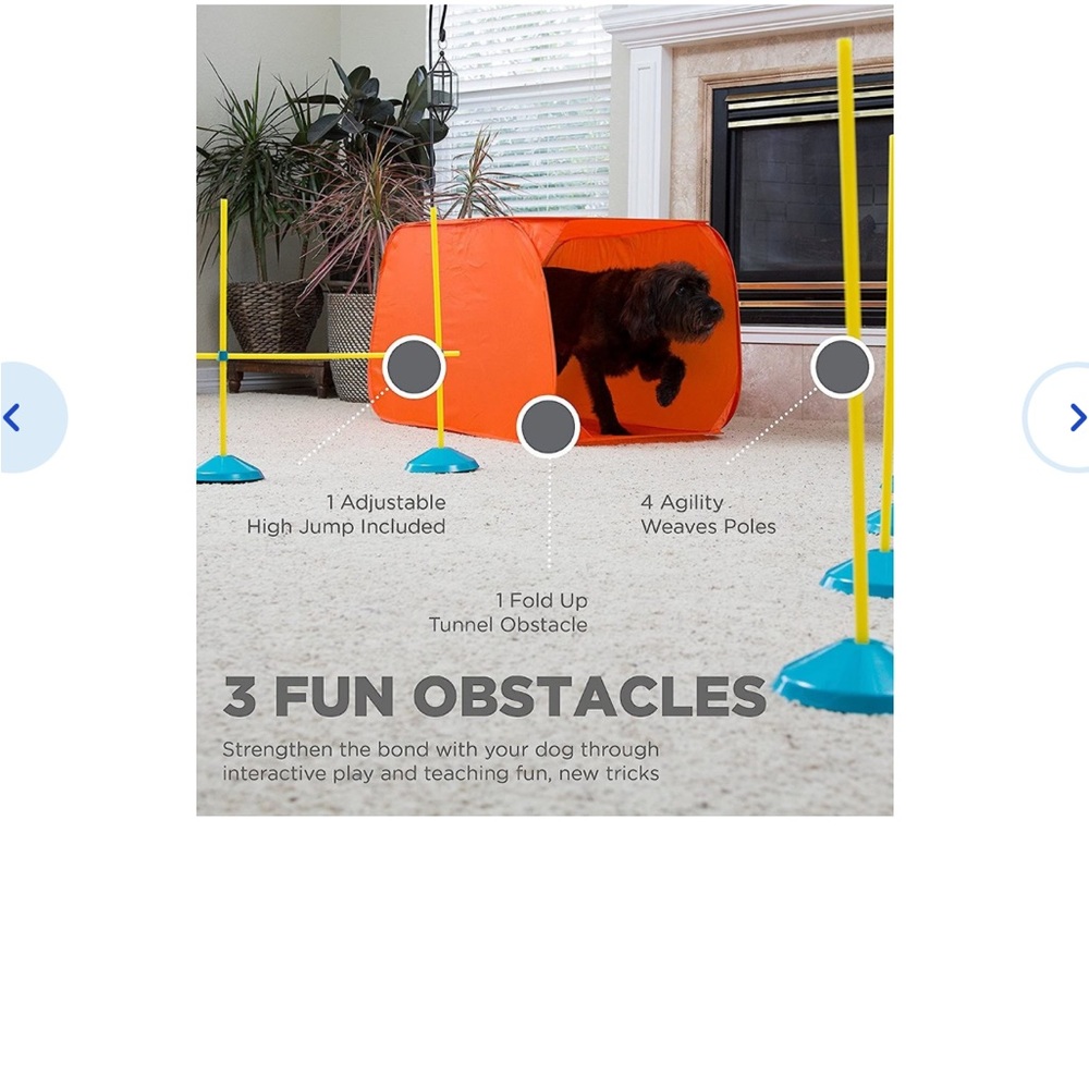 Dog agility kit